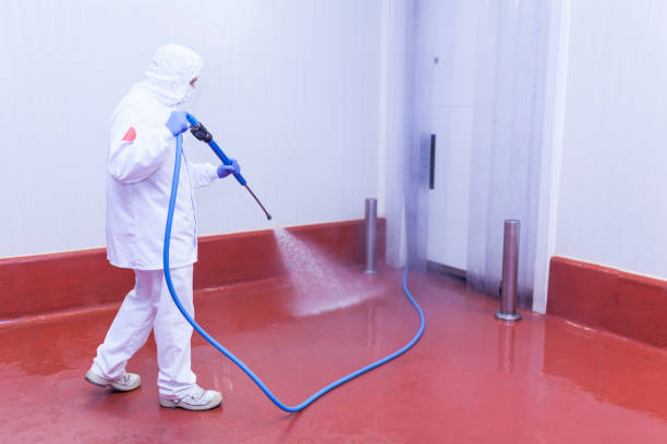 Best Gutter Cleaning and Brightening in Turnersville, NJ